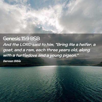 Picture 02 - Genesis 15:9 BSB - And the LORD said to him, “Bring Me a heifer, a - Bible Verse Picture