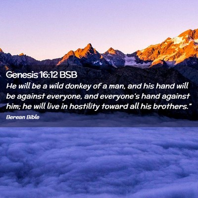 Picture 02 - Genesis 16:12 BSB - He will be a wild donkey of a man, and his hand - Bible Verse Picture