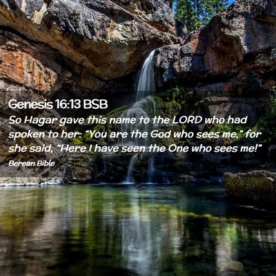 Picture 02 - Genesis 16:13 BSB - So Hagar gave this name to the LORD who had - Bible Verse Picture