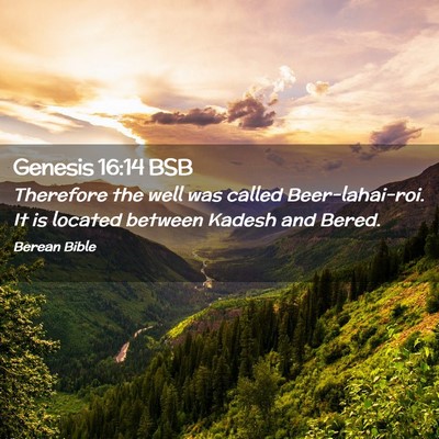Picture 02 - Genesis 16:14 BSB - Therefore the well was called Beer-lahai-roi. It - Bible Verse Picture