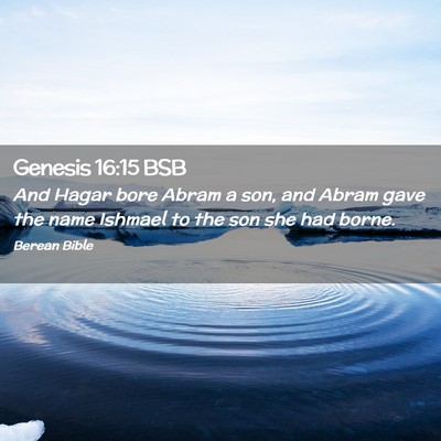 Picture 02 - Genesis 16:15 BSB - And Hagar bore Abram a son, and Abram gave the - Bible Verse Picture