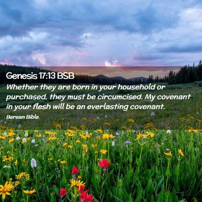 Picture 02 - Genesis 17:13 BSB - Whether they are born in your household or - Bible Verse Picture