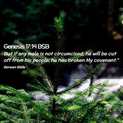Picture 02 - Genesis 17:14 BSB - But if any male is not circumcised, he will be - Bible Verse Picture