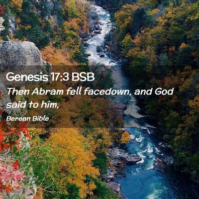 Picture 02 - Genesis 17:3 BSB - Then Abram fell facedown, and God said to - Bible Verse Picture