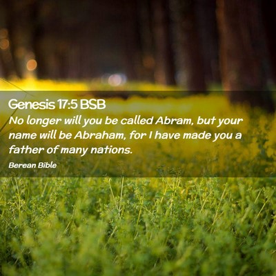 Picture 02 - Genesis 17:5 BSB - No longer will you be called Abram, but your name - Bible Verse Picture