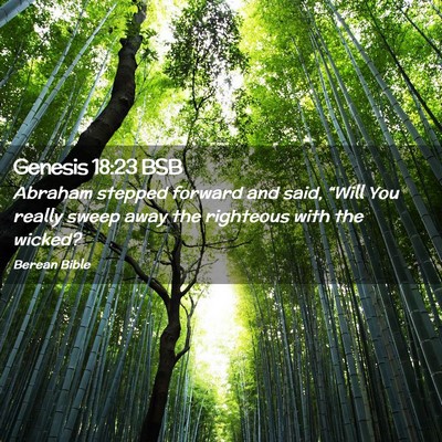 Picture 02 - Genesis 18:23 BSB - Abraham stepped forward and said, “Will You - Bible Verse Picture