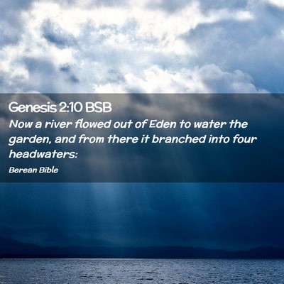 Picture 02 - Genesis 2:10 BSB - Now a river flowed out of Eden to water the - Bible Verse Picture