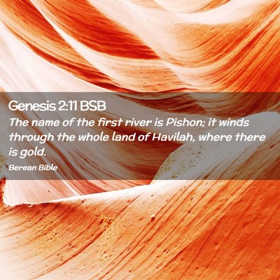 Picture 02 - Genesis 2:11 BSB - The name of the first river is Pishon; it winds - Bible Verse Picture