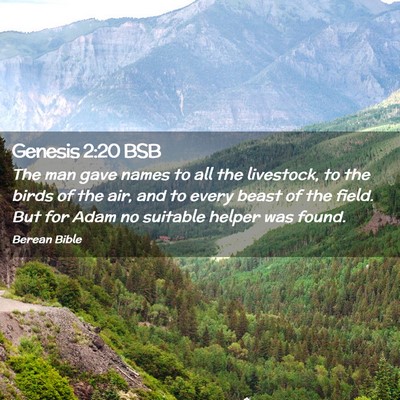 Picture 02 - Genesis 2:20 BSB - The man gave names to all the livestock, to the - Bible Verse Picture