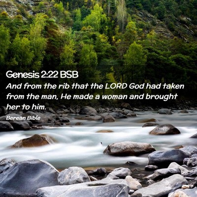 Picture 02 - Genesis 2:22 BSB - And from the rib that the LORD God had taken from - Bible Verse Picture