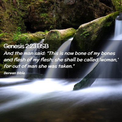 Picture 02 - Genesis 2:23 BSB - And the man said: “This is now bone of my bones - Bible Verse Picture