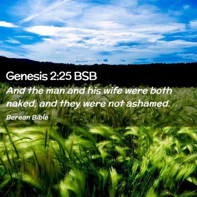 Picture 02 - Genesis 2:25 BSB - And the man and his wife were both naked, and - Bible Verse Picture