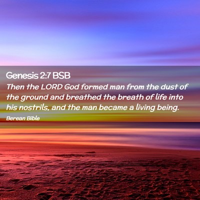 Picture 02 - Genesis 2:7 BSB - Then the LORD God formed man from the dust of the - Bible Verse Picture