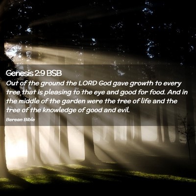 Picture 02 - Genesis 2:9 BSB - Out of the ground the LORD God gave growth to - Bible Verse Picture