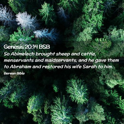 Picture 02 - Genesis 20:14 BSB - So Abimelech brought sheep and cattle, - Bible Verse Picture