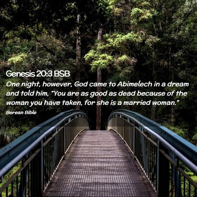 Picture 02 - Genesis 20:3 BSB - One night, however, God came to Abimelech in a - Bible Verse Picture
