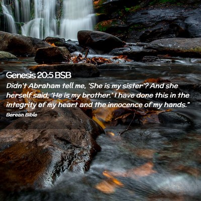 Picture 02 - Genesis 20:5 BSB - Didn’t Abraham tell me, ‘She is my sister’? - Bible Verse Picture