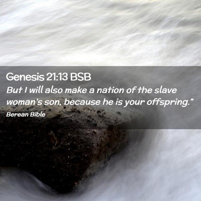 Picture 02 - Genesis 21:13 BSB - But I will also make a nation of the slave - Bible Verse Picture