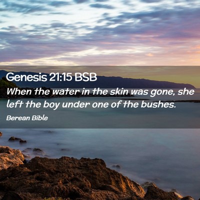 Picture 02 - Genesis 21:15 BSB - When the water in the skin was gone, she left the - Bible Verse Picture