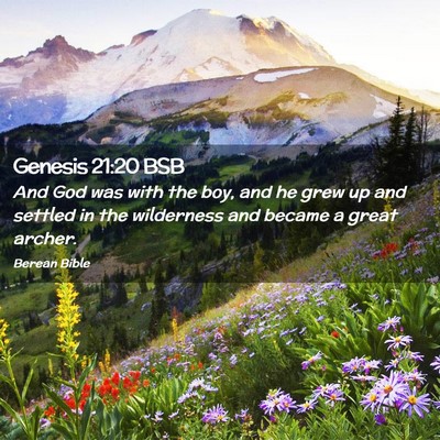 Picture 02 - Genesis 21:20 BSB - And God was with the boy, and he grew up and - Bible Verse Picture
