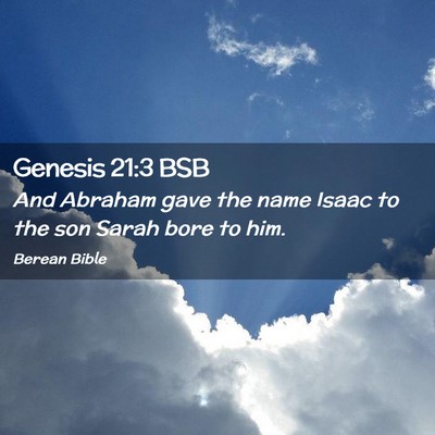 Picture 02 - Genesis 21:3 BSB - And Abraham gave the name Isaac to the son Sarah - Bible Verse Picture