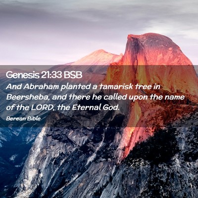 Picture 02 - Genesis 21:33 BSB - And Abraham planted a tamarisk tree in Beersheba, - Bible Verse Picture