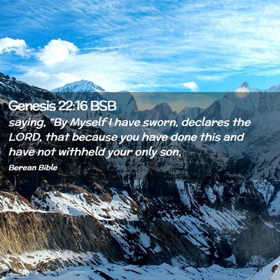 Picture 02 - Genesis 22:16 BSB - saying, “By Myself I have sworn, declares the - Bible Verse Picture