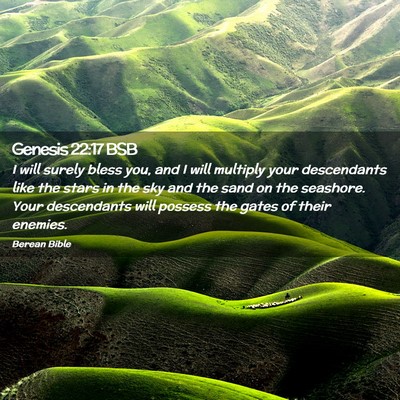 Picture 02 - Genesis 22:17 BSB - I will surely bless you, and I will multiply your - Bible Verse Picture