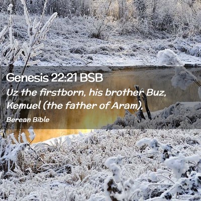 Picture 02 - Genesis 22:21 BSB - Uz the firstborn, his brother Buz, Kemuel (the - Bible Verse Picture