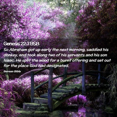 Picture 02 - Genesis 22:3 BSB - So Abraham got up early the next morning, saddled - Bible Verse Picture