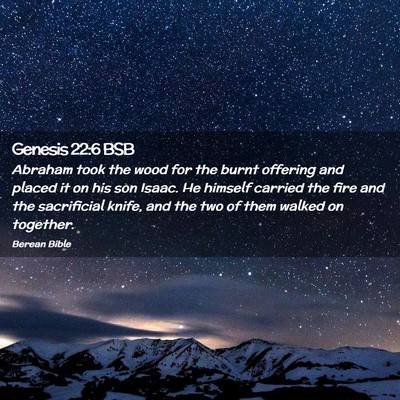 Picture 02 - Genesis 22:6 BSB - Abraham took the wood for the burnt offering and - Bible Verse Picture