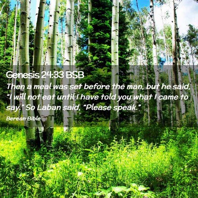 Picture 02 - Genesis 24:33 BSB - Then a meal was set before the man, but he said, - Bible Verse Picture