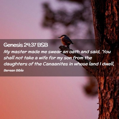 Picture 02 - Genesis 24:37 BSB - My master made me swear an oath and said, ‘You - Bible Verse Picture