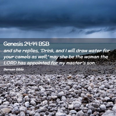 Picture 02 - Genesis 24:44 BSB - and she replies, ‘Drink, and I will draw water - Bible Verse Picture