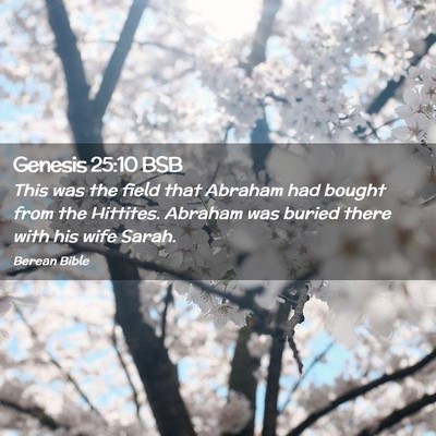 Picture 02 - Genesis 25:10 BSB - This was the field that Abraham had bought from - Bible Verse Picture