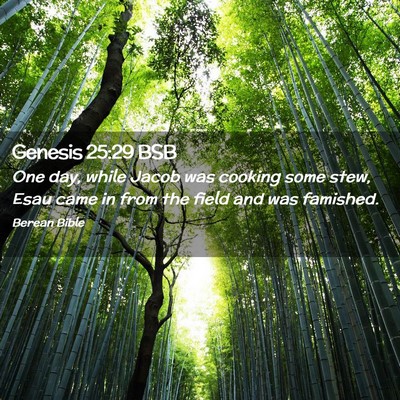Picture 02 - Genesis 25:29 BSB - One day, while Jacob was cooking some stew, Esau - Bible Verse Picture