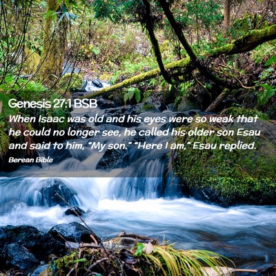 Picture 02 - Genesis 27:1 BSB - When Isaac was old and his eyes were so weak that - Bible Verse Picture