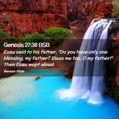 Picture 02 - Genesis 27:38 BSB - Esau said to his father, “Do you have only one - Bible Verse Picture
