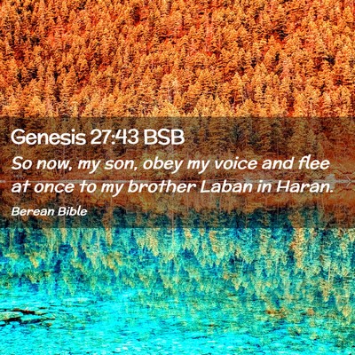 Picture 02 - Genesis 27:43 BSB - So now, my son, obey my voice and flee at once to - Bible Verse Picture