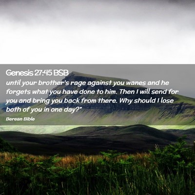 Picture 02 - Genesis 27:45 BSB - until your brother’s rage against you wanes and - Bible Verse Picture