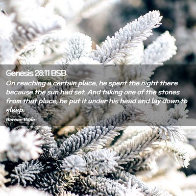 Picture 02 - Genesis 28:11 BSB - On reaching a certain place, he spent the night - Bible Verse Picture