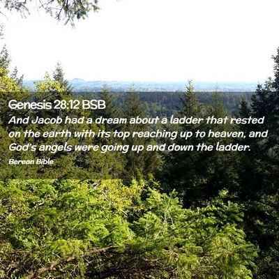 Picture 02 - Genesis 28:12 BSB - And Jacob had a dream about a ladder that rested - Bible Verse Picture
