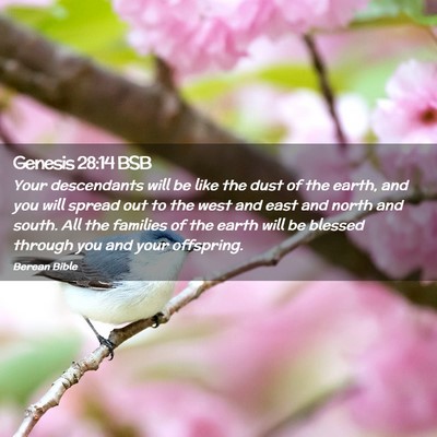 Picture 02 - Genesis 28:14 BSB - Your descendants will be like the dust of the - Bible Verse Picture