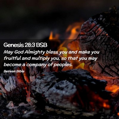 Picture 02 - Genesis 28:3 BSB - May God Almighty bless you and make you fruitful - Bible Verse Picture