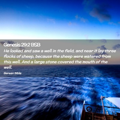 Picture 02 - Genesis 29:2 BSB - He looked and saw a well in the field, and near - Bible Verse Picture