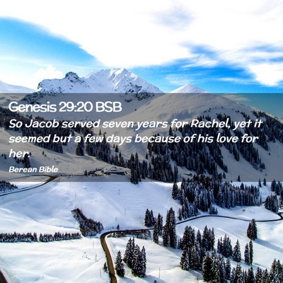 Picture 02 - Genesis 29:20 BSB - So Jacob served seven years for Rachel, yet it - Bible Verse Picture