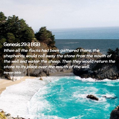 Picture 02 - Genesis 29:3 BSB - When all the flocks had been gathered there, the - Bible Verse Picture
