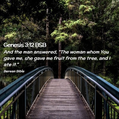 Picture 02 - Genesis 3:12 BSB - And the man answered, “The woman whom You gave - Bible Verse Picture