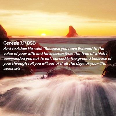Picture 02 - Genesis 3:17 BSB - And to Adam He said: “Because you have listened - Bible Verse Picture