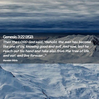 Picture 02 - Genesis 3:22 BSB - Then the LORD God said, “Behold, the man has - Bible Verse Picture